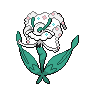 Normal coloration of White Flower