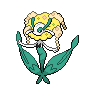 Normal coloration of Yellow Flower