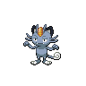 Normal coloration of Alolan Form