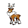Shiny version of Winter Form