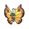 Normal coloration of Continental Pattern