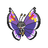 Normal coloration of Elegant Pattern