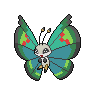 Shiny version of Garden Pattern
