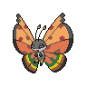 Normal coloration of High Plains Pattern