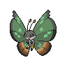 Normal coloration of Jungle Pattern