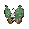 Shiny version of Jungle Pattern