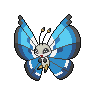 Shiny version of Marine Pattern