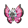 Normal coloration of Meadow Pattern