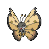 Normal coloration of Sandstorm Pattern