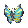 Normal coloration of Savanna Pattern