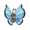 Normal coloration of Tundra Pattern
